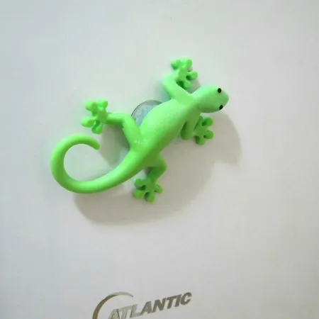 Prázdninový dům Dei Della Costiera